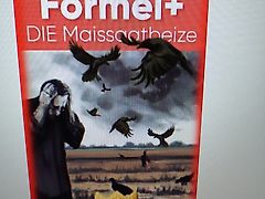 Köckerling Köckerling Drillpacker 12 reihig Minimat 130-142 cm Arbeitsbreite Köckerling Direktsaat-Pflug Säkombi zur Einsaat hinter dem Plug al Paker Drillkombi für Drehpflugeinsatz mit Fanghaken