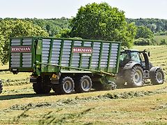 Bergmann CAREX 410 S Ladewagen 41 m³ mit Tandem-Fahrwerk