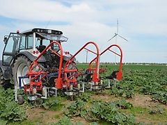Jagoda Unkraut-Hackgerät für Obst und Gemüse
