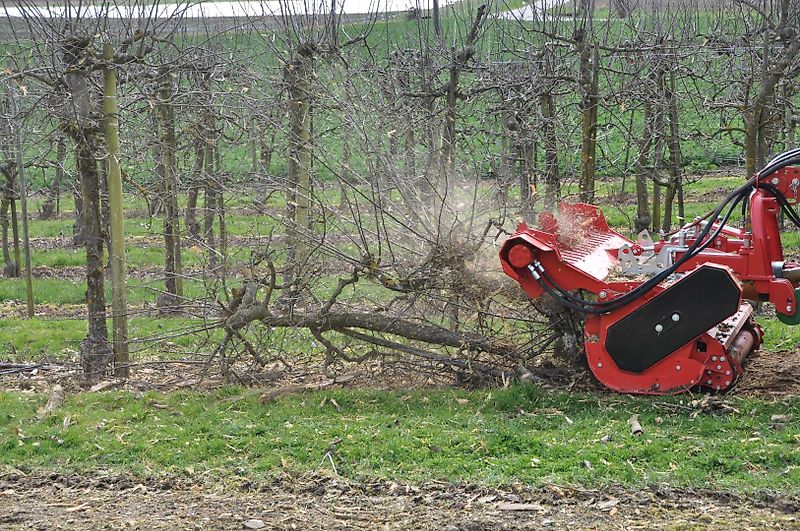 Humus PHL 160 Anbau: Front oder Heckschub über Dreipunktbügel mit KAT. 1 + 2. Leistungsstarker Mulcher