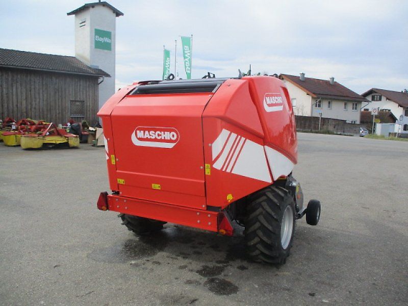 Maschio Mondiale / Extreme Spätsommer - RABATT - AKTION