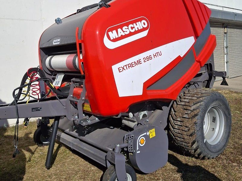 Maschio Mondiale / Extreme Spätsommer - RABATT - AKTION