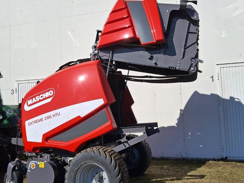 Maschio Mondiale / Extreme Spätsommer - RABATT - AKTION