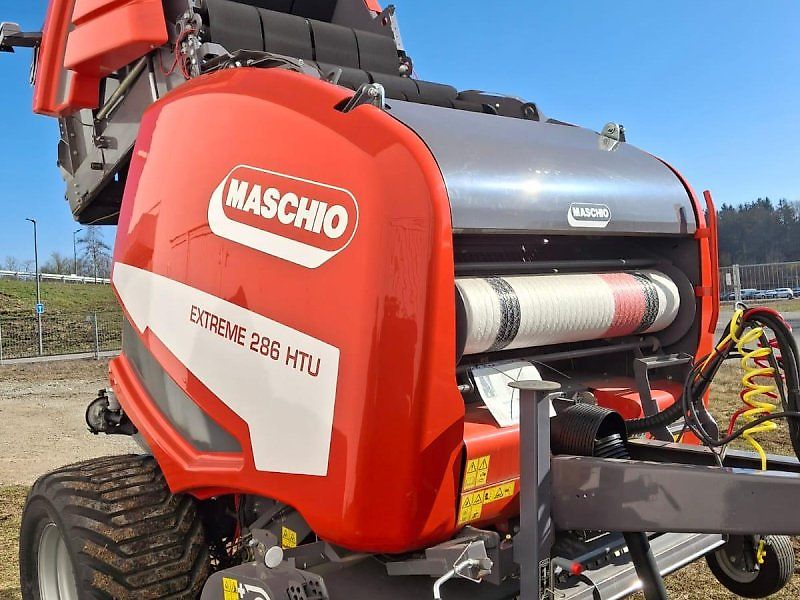 Maschio Mondiale / Extreme Spätsommer - RABATT - AKTION