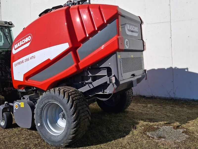 Maschio Mondiale / Extreme Spätsommer - RABATT - AKTION